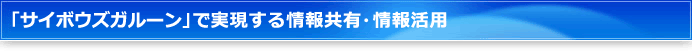 �u�T�C�{�E�Y�K���[��3�v�Ŏ��������񋤗L�E��񊈗p