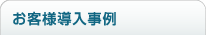 ERP/��Ɩ��V�X�e���̓�������