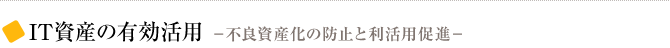 IT資産の有効活用 －不良資産化の防止と利活用促進－