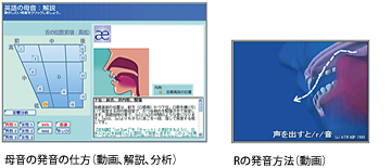 母音の発音の仕方（動画、解説、分析） Rの発音方法（動画）