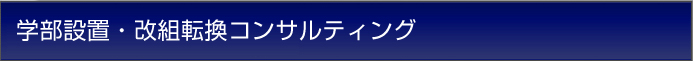 学部設置・改組転換コンサルティング