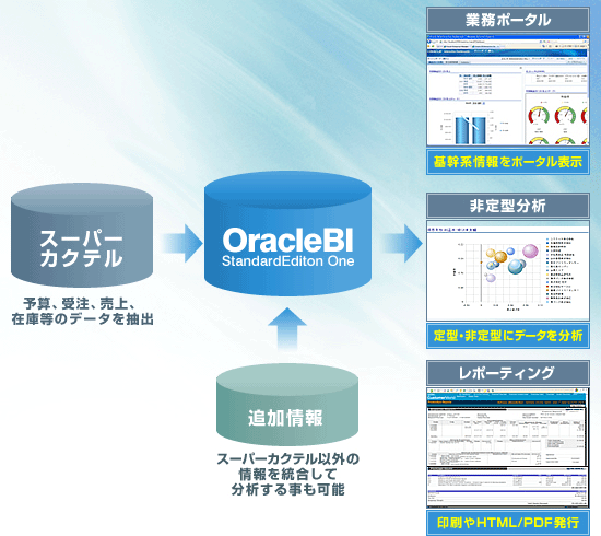 uOracle BI for X[p[JNev̊pC[W