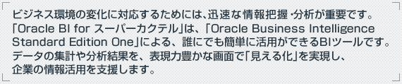 rWlX̕ωɑΉ邽߂ɂ́AvȏcE͂dvłBOracle BI for X[p[JNéAOracle Business Intelligence Standard Edition OneɂANɂłȒPɊpłBIc[łBf[^̏Wv╪͌ʂA\͖LȉʂŢ鉻AƂ̏񊈗px܂B