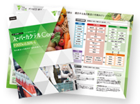 X[p[JNe RAFOODs Xܔ̔